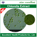 Chlorella orgânico de alta qualidade e pó de espirulina